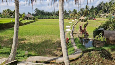 Ubud, the cultural centre of Bali