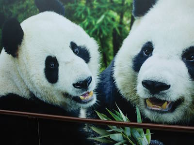 Orchard Road, Sentosa Island, Botanic Garden, Zoos and remote Islands