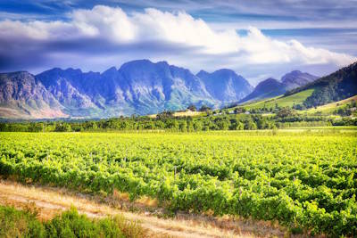 Wine Tasting and Luxury Travel