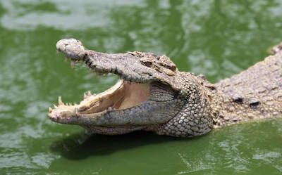 What to do in North-Australia (Darwin)