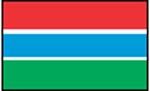 flag Gambia